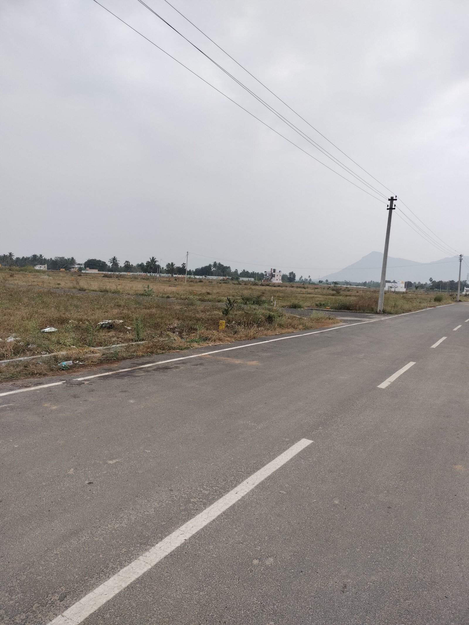 16749885990002406230243827638917