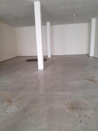 399092322M-1672149461396