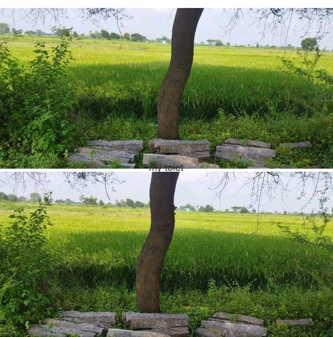 WhatsApp-Image-2023-01-02-at-11.49.20