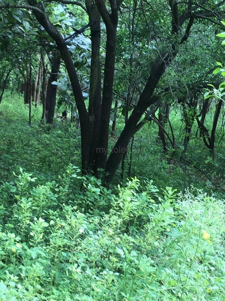 WhatsApp-Image-2023-01-02-at-3.45.50-PM