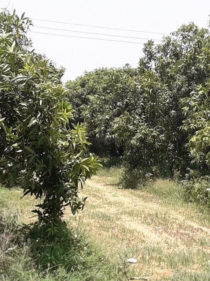 WhatsApp-Image-2023-01-02-at-4.44.48-PM