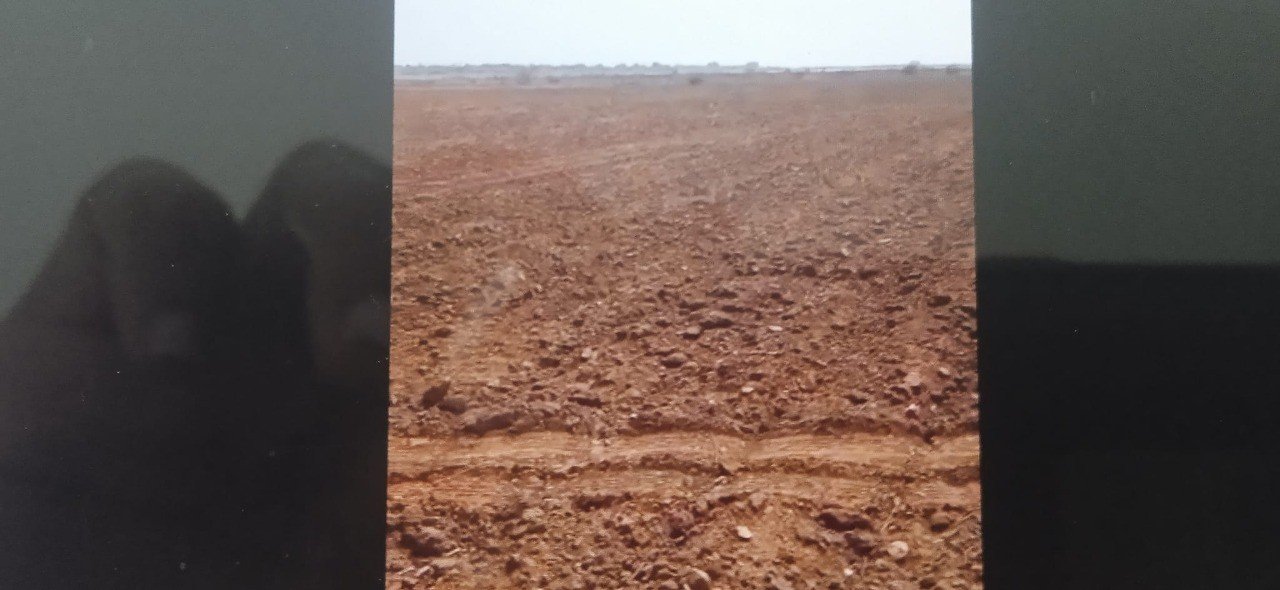 WhatsApp-Image-2023-01-03-at-10.15.38-AM