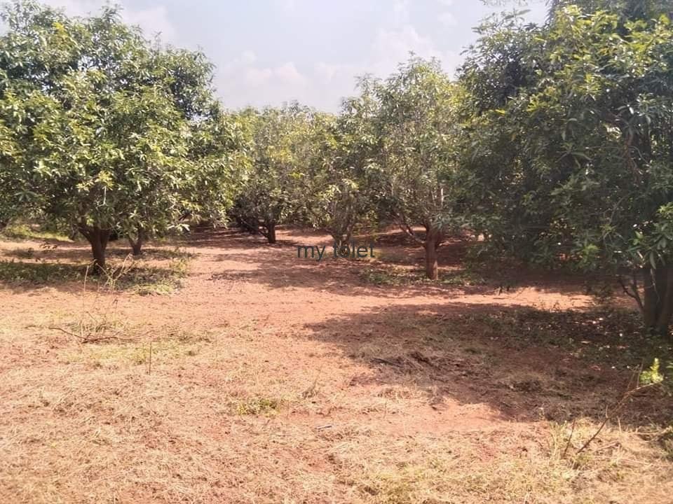 WhatsApp-Image-2023-01-03-at-2.40.53-PM