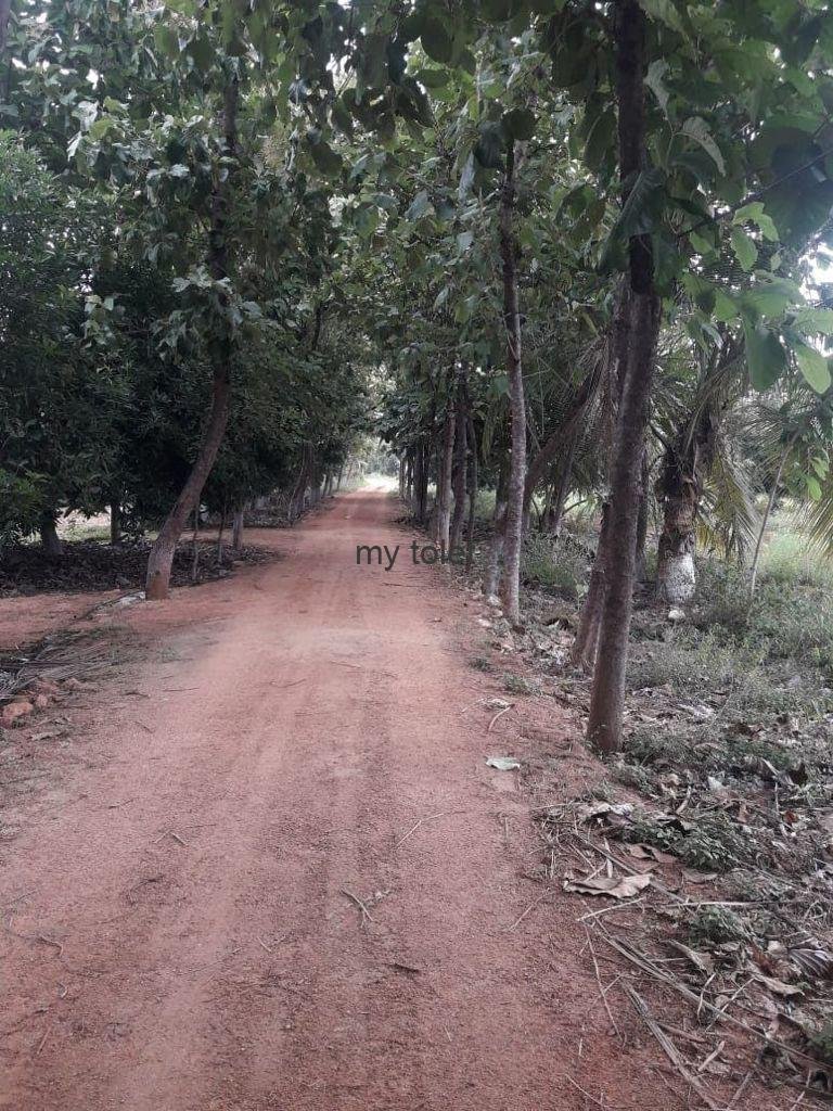 WhatsApp-Image-2023-01-03-at-5.34.00-PM