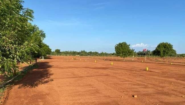 WhatsApp-Image-2023-01-06-at-11.35.53-AM