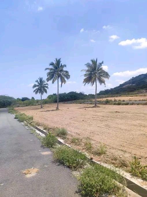 WhatsApp-Image-2023-01-06-at-12.27.46-PM