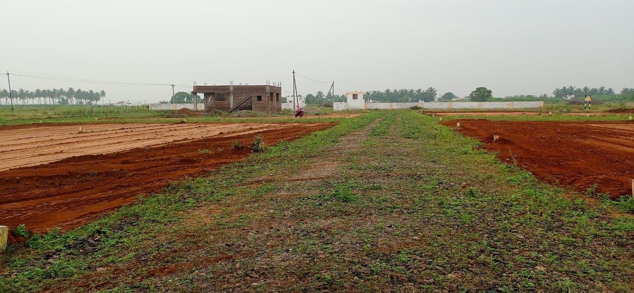 WhatsApp-Image-2023-01-07-at-12.13.04-PM