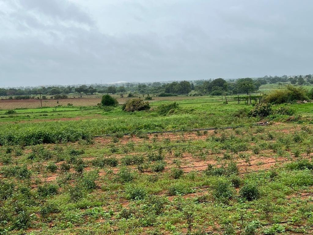 WhatsApp-Image-2023-01-07-at-4.28.47-PM