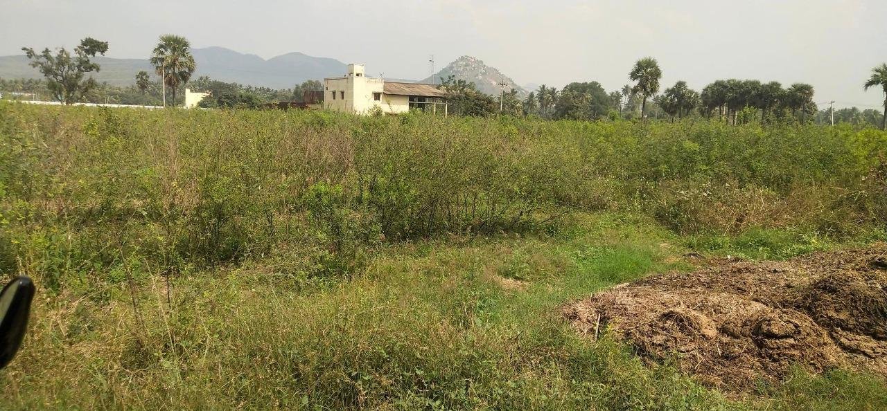 WhatsApp-Image-2023-01-09-at-3.08.40-PM