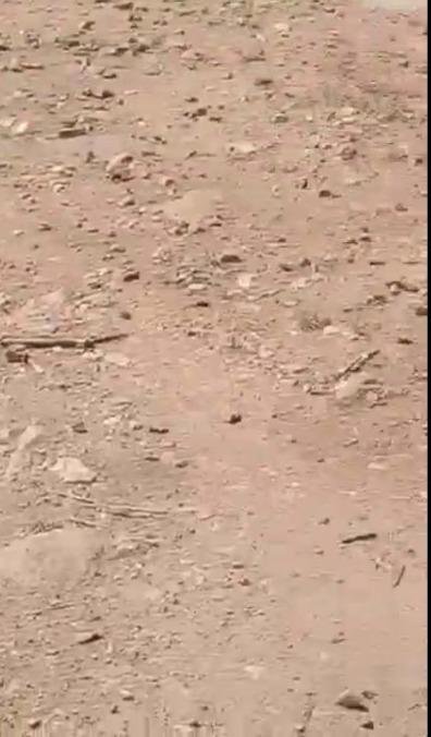 WhatsApp-Image-2023-01-10-at-10.58.49-AM-1