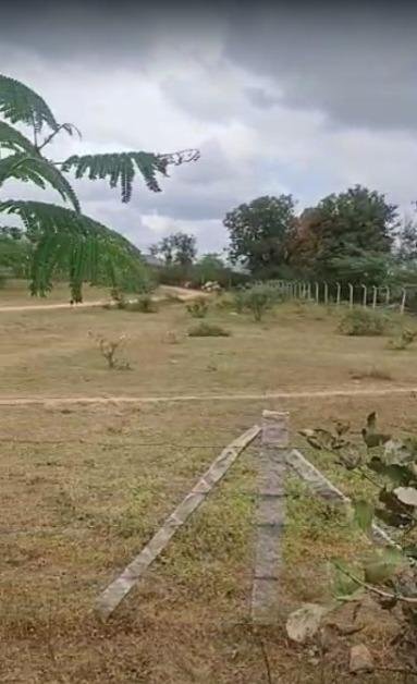 WhatsApp-Image-2023-01-10-at-11.00.27-AM-1