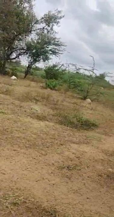 WhatsApp-Image-2023-01-10-at-11.01.46-AM