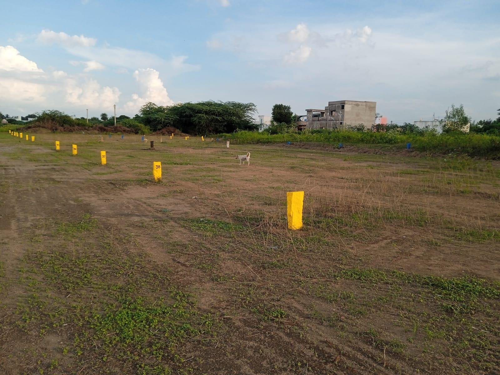 WhatsApp-Image-2023-01-10-at-11.08.25-AM