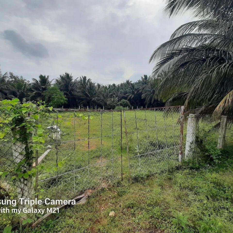 WhatsApp-Image-2023-01-11-at-2.36.14-PM