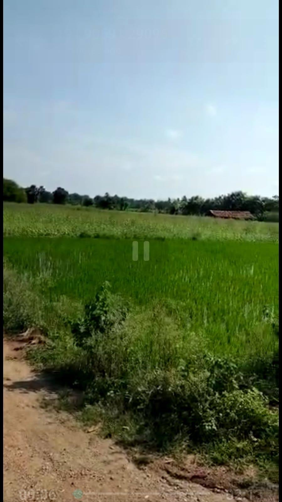 WhatsApp-Image-2023-01-11-at-3.36.48-PM