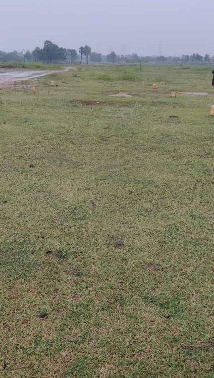 WhatsApp-Image-2023-01-12-at-12.05.14-PM