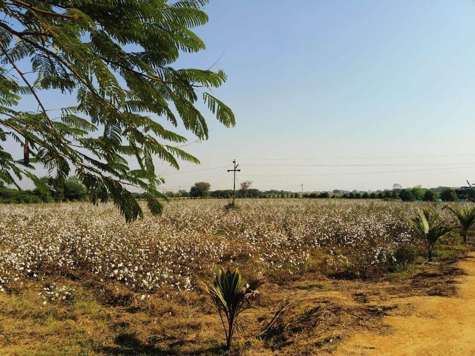 WhatsApp-Image-2023-01-12-at-3.46.17-PM