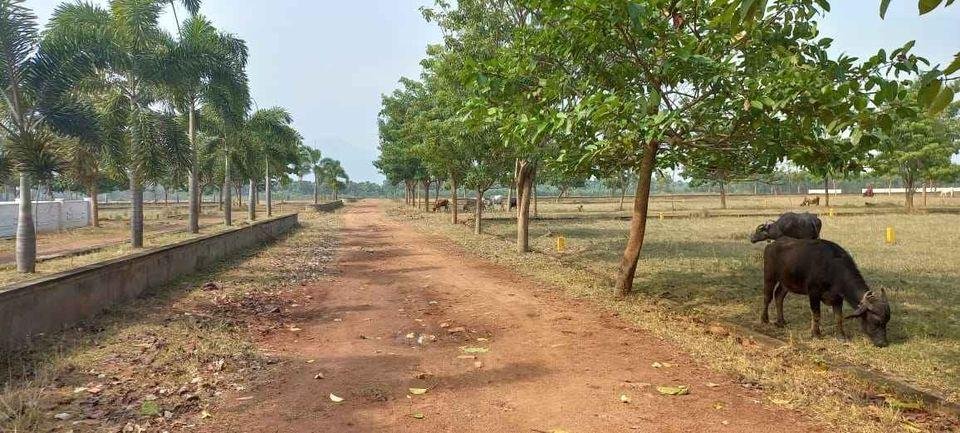 WhatsApp-Image-2023-01-13-at-4.26.26-PM