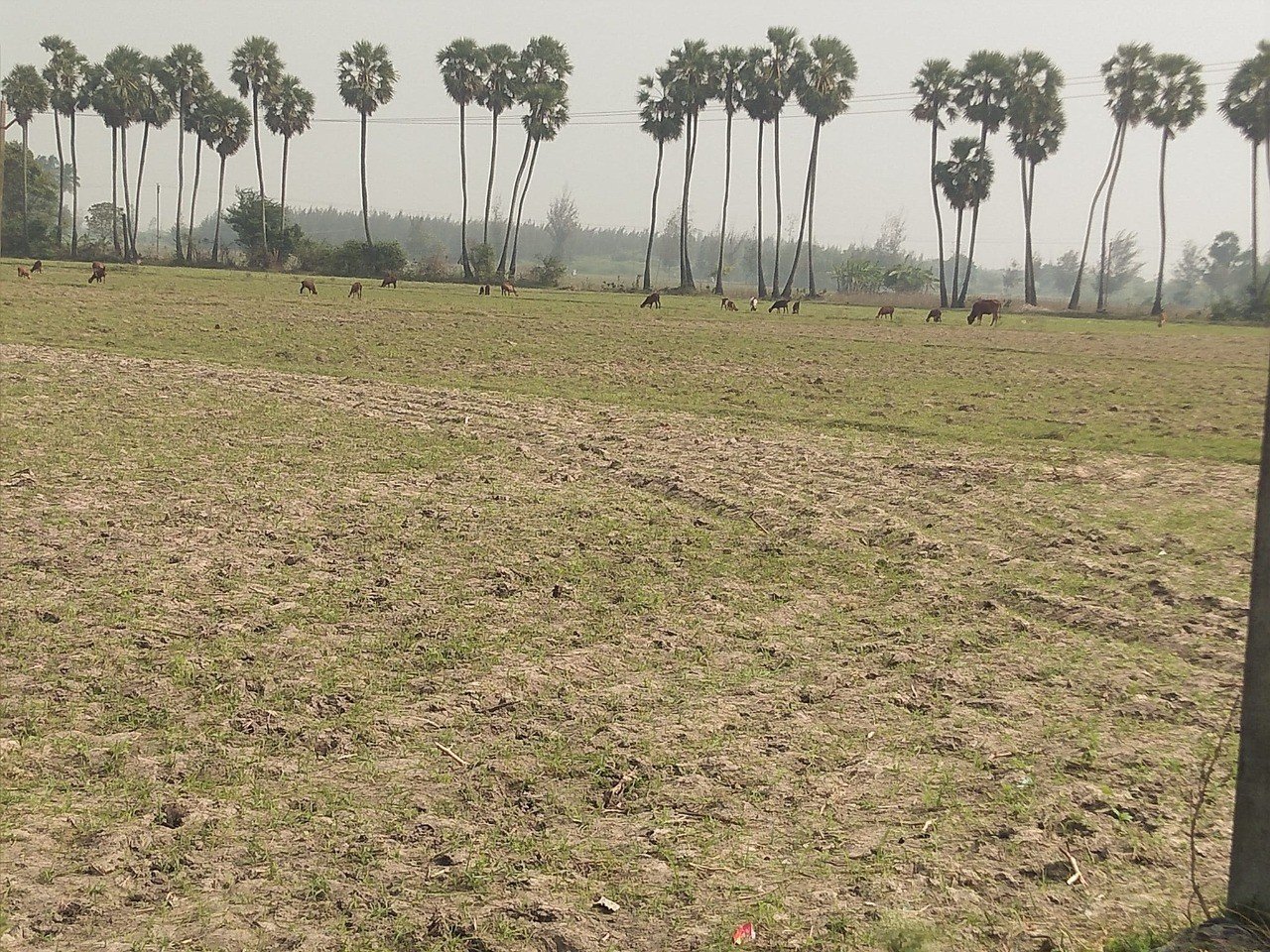 WhatsApp-Image-2023-01-17-at-12.34.50-PM