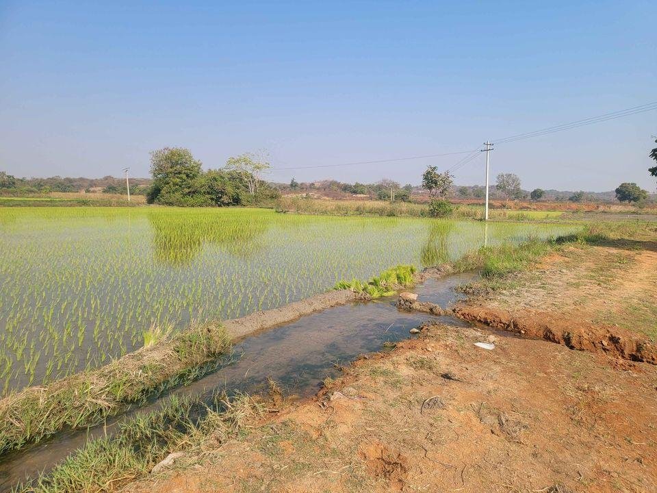 WhatsApp-Image-2023-01-17-at-4.08.45-PM