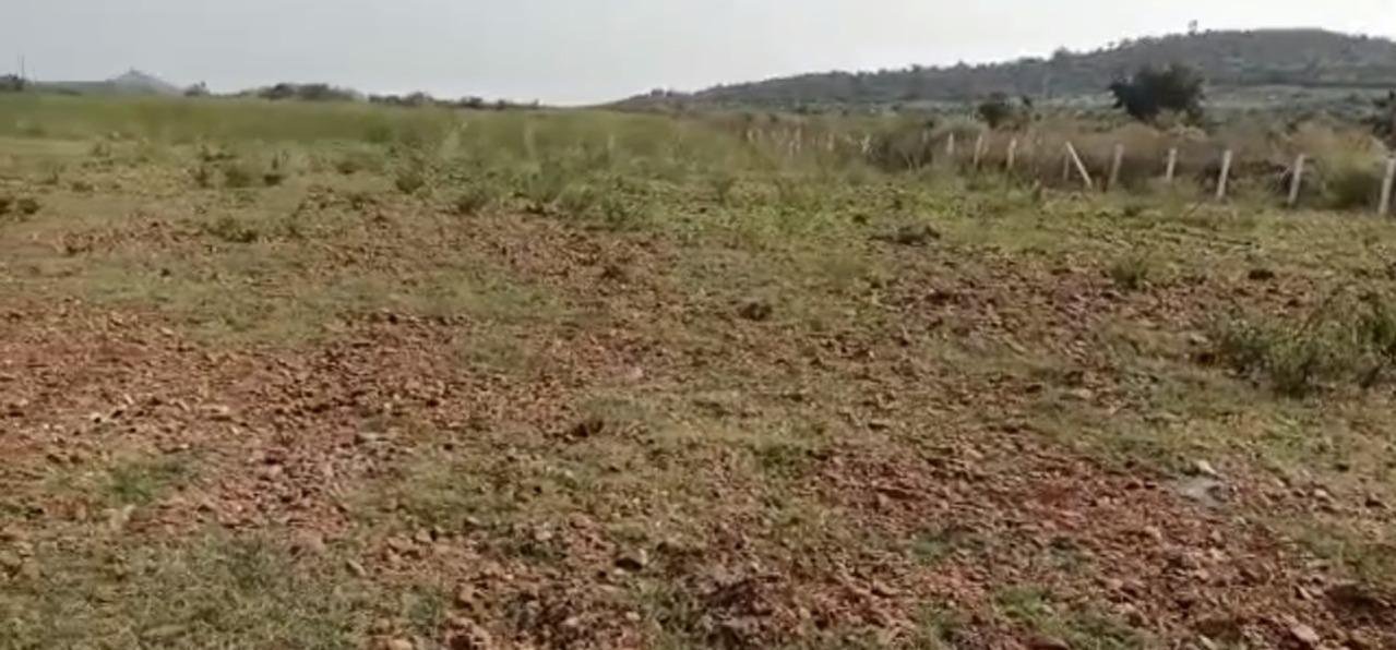 WhatsApp-Image-2023-01-18-at-10.39.37-AM-1-1