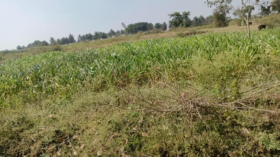 WhatsApp-Image-2023-01-18-at-10.50.05-AM-1