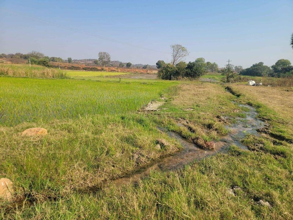 WhatsApp-Image-2023-01-18-at-11.12.59-AM