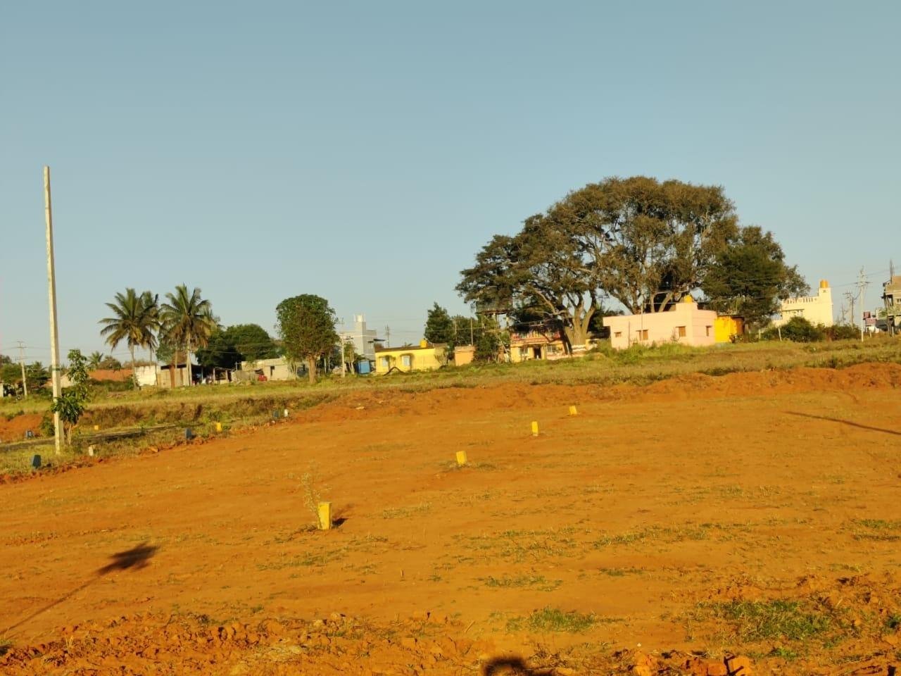 WhatsApp-Image-2023-01-18-at-12.18.12-PM