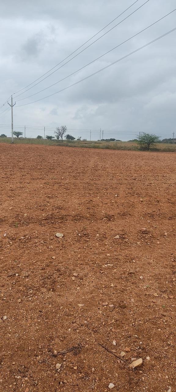 WhatsApp-Image-2023-01-19-at-12.25.27-PM