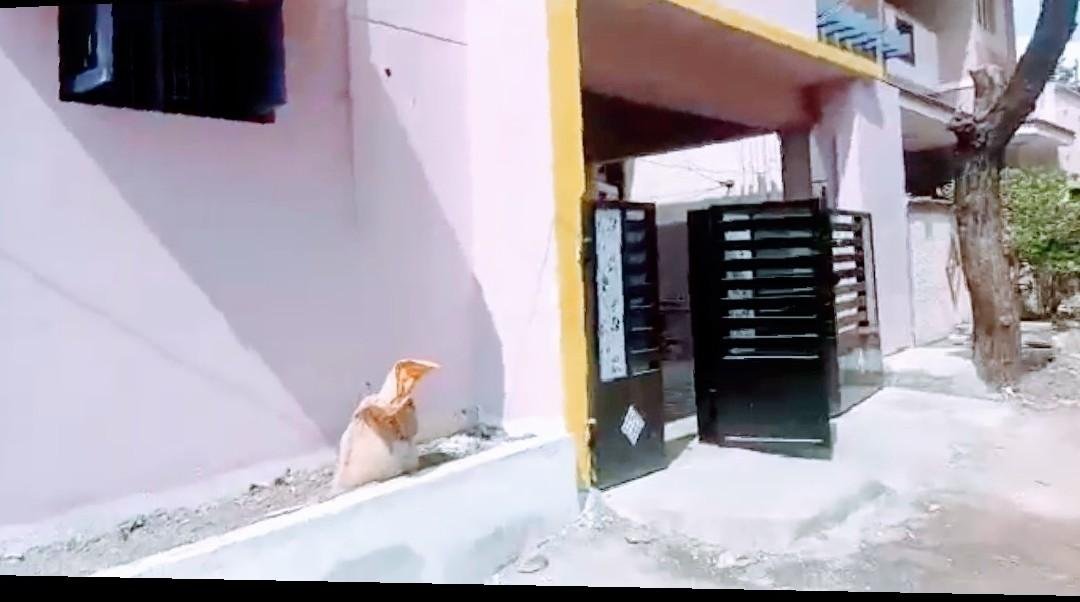 WhatsApp-Image-2023-01-19-at-4.00.57-PM