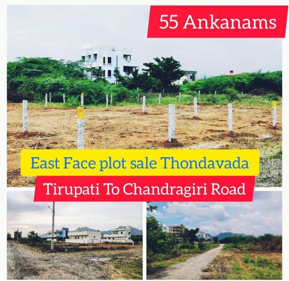 WhatsApp-Image-2023-01-20-at-11.05.53-AM