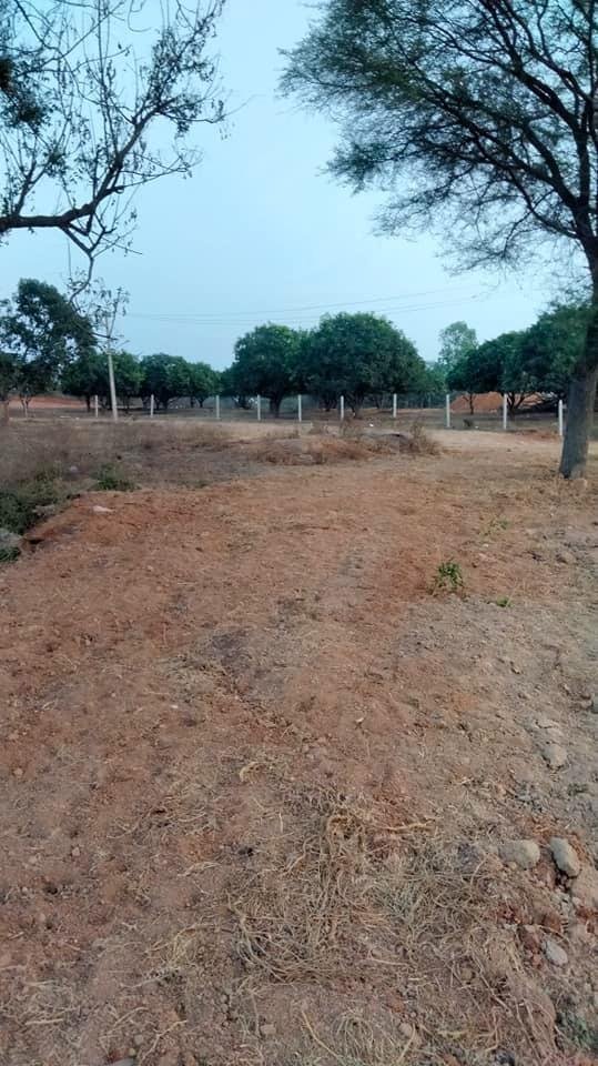 WhatsApp-Image-2023-01-21-at-12.50.28-PM