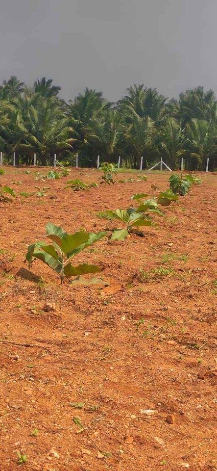 WhatsApp-Image-2023-01-21-at-2.41.41-PM