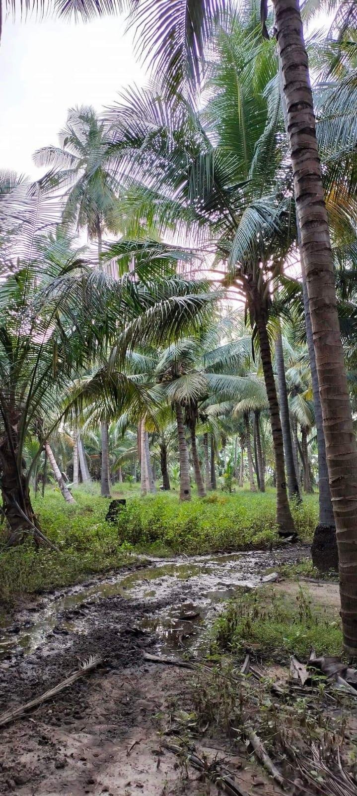 WhatsApp-Image-2023-01-23-at-1.15.42-PM