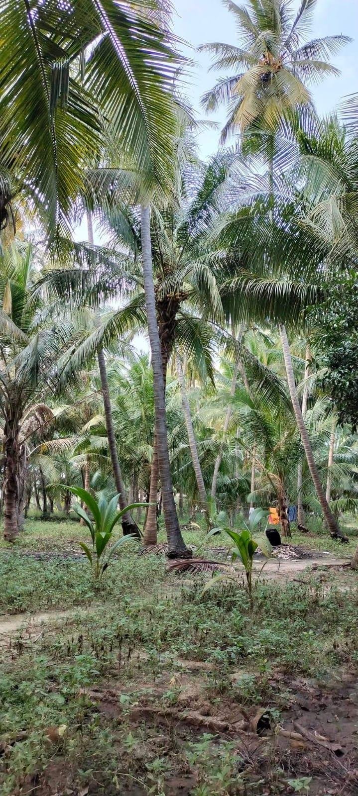 WhatsApp-Image-2023-01-23-at-1.15.43-PM