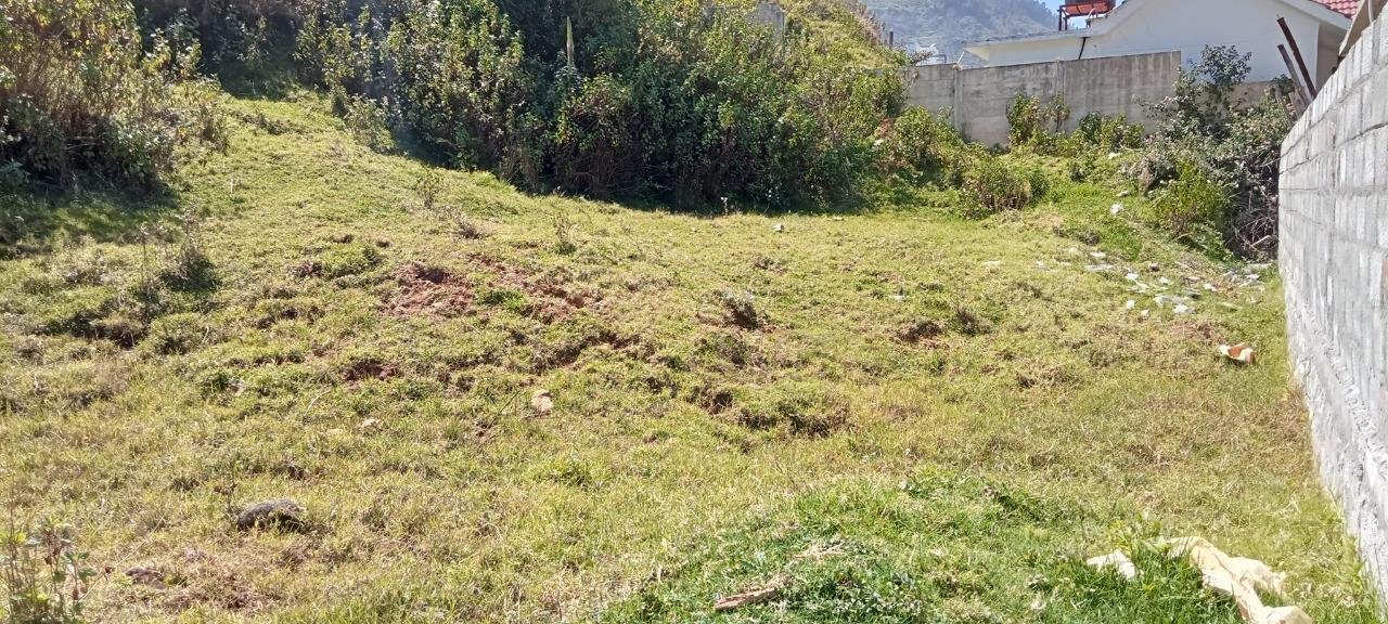 WhatsApp-Image-2023-01-23-at-2.44.22-PM