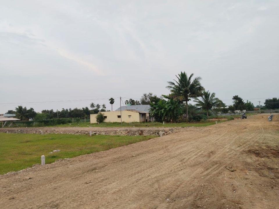 WhatsApp-Image-2023-01-24-at-11.17.25-AM