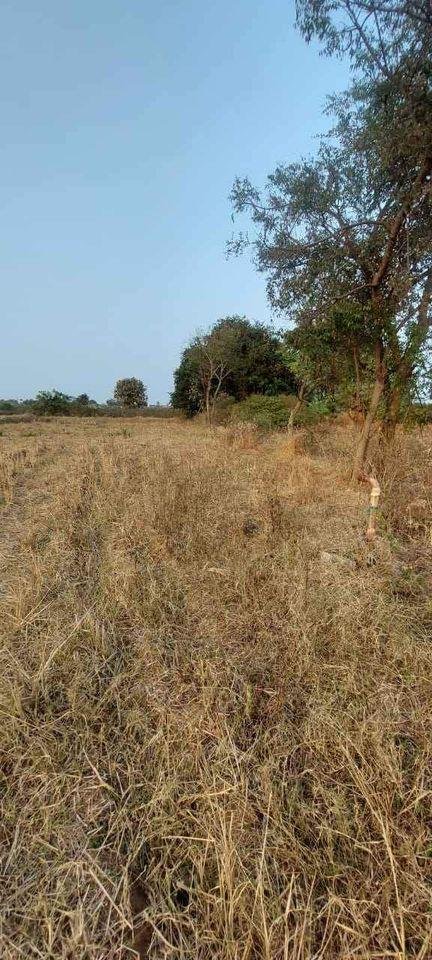 WhatsApp-Image-2023-01-24-at-12.00.41-PM