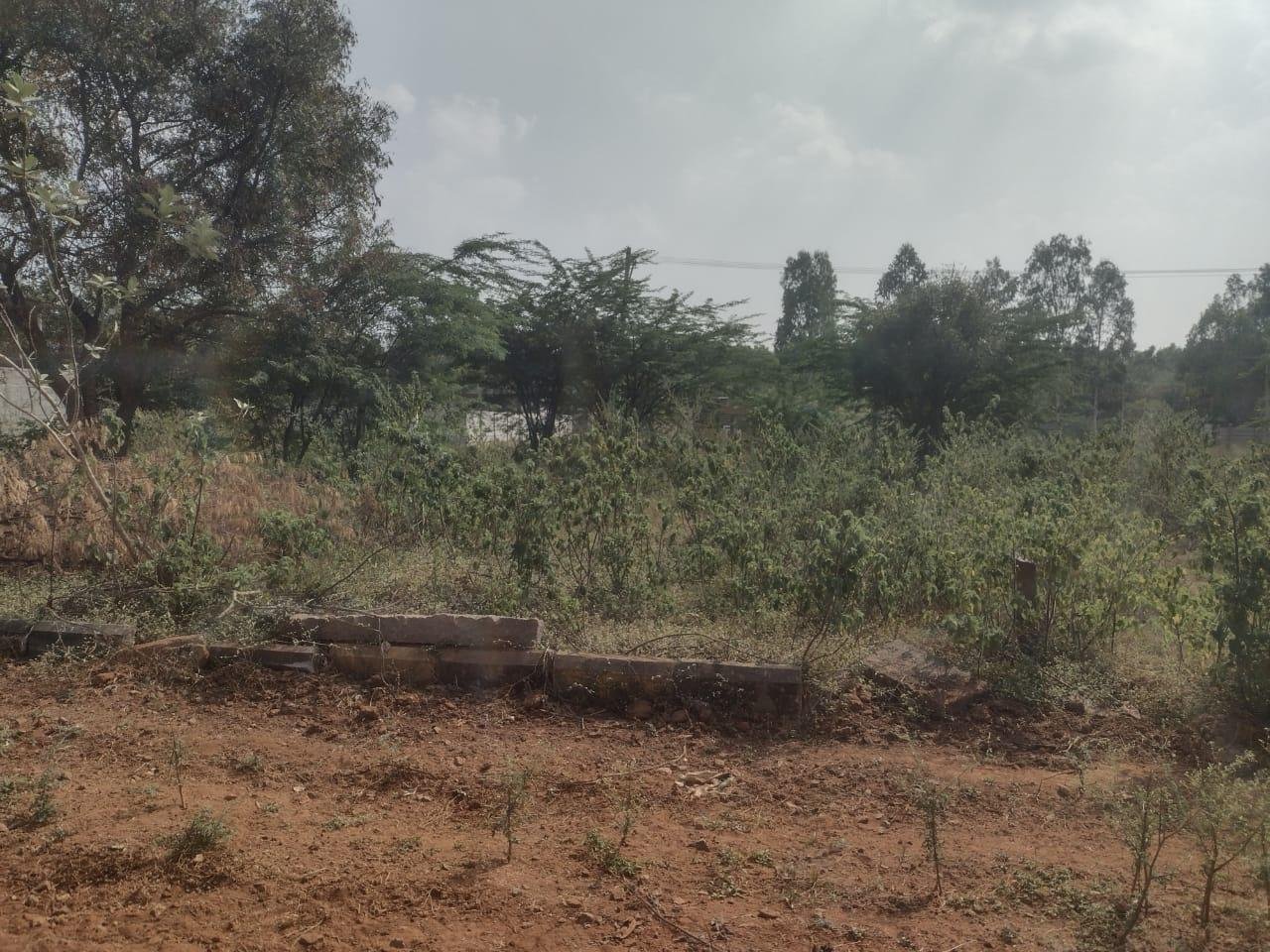 WhatsApp-Image-2023-01-24-at-12.37.50-PM