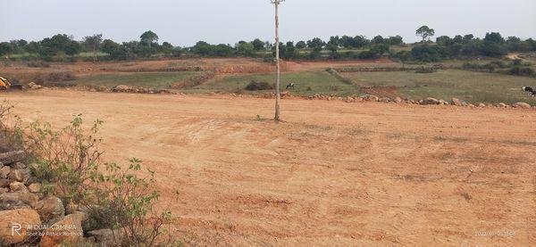 WhatsApp-Image-2023-01-24-at-2.40.16-PM