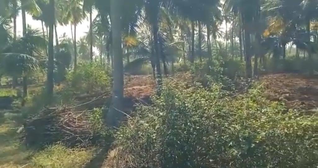 WhatsApp-Image-2023-01-24-at-2.45.11-PM