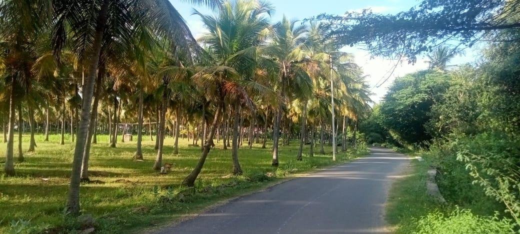 WhatsApp-Image-2023-01-24-at-6.07.01-PM