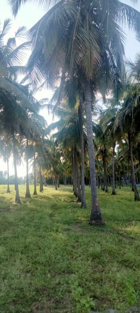 WhatsApp-Image-2023-01-24-at-6.07.02-PM-1