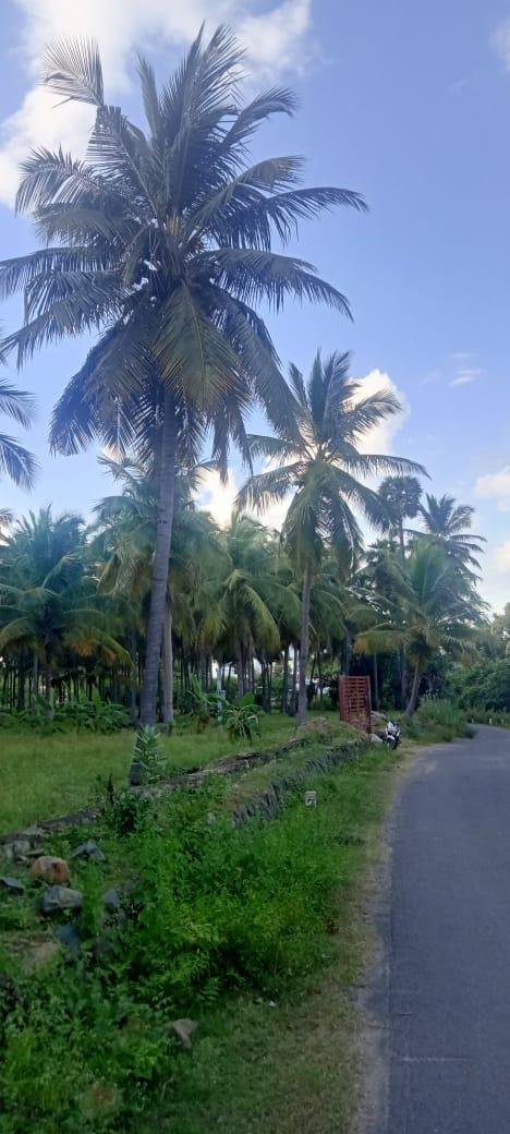 WhatsApp-Image-2023-01-24-at-6.07.02-PM