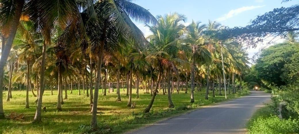 WhatsApp-Image-2023-01-24-at-6.07.03-PM-1