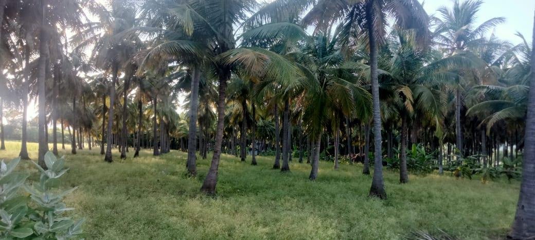 WhatsApp-Image-2023-01-24-at-6.07.03-PM-2