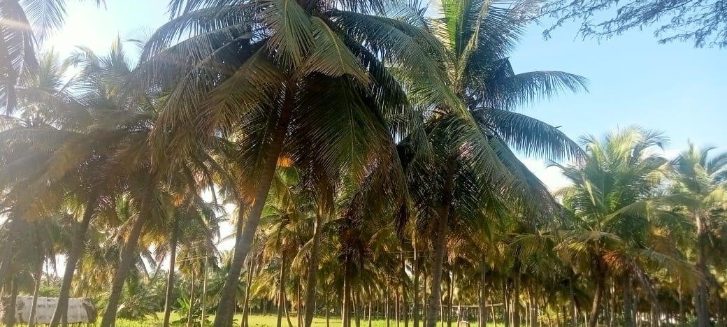 WhatsApp-Image-2023-01-24-at-6.07.03-PM