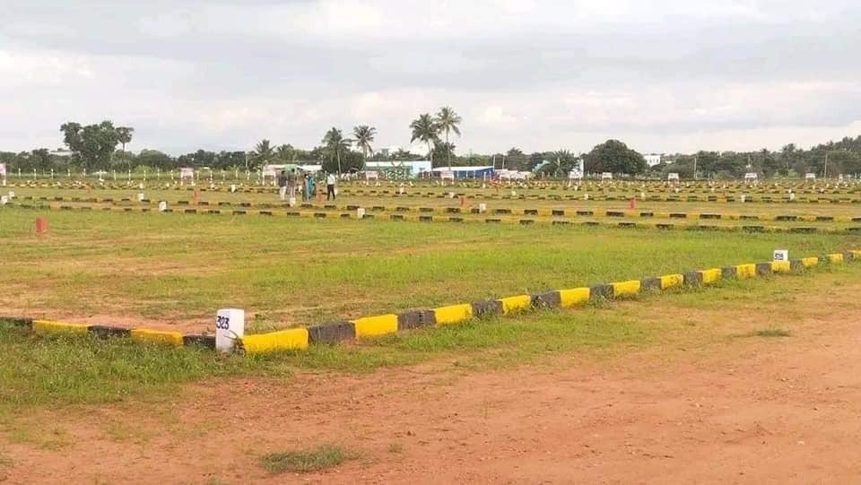 WhatsApp-Image-2023-01-25-at-3.43.48-PM