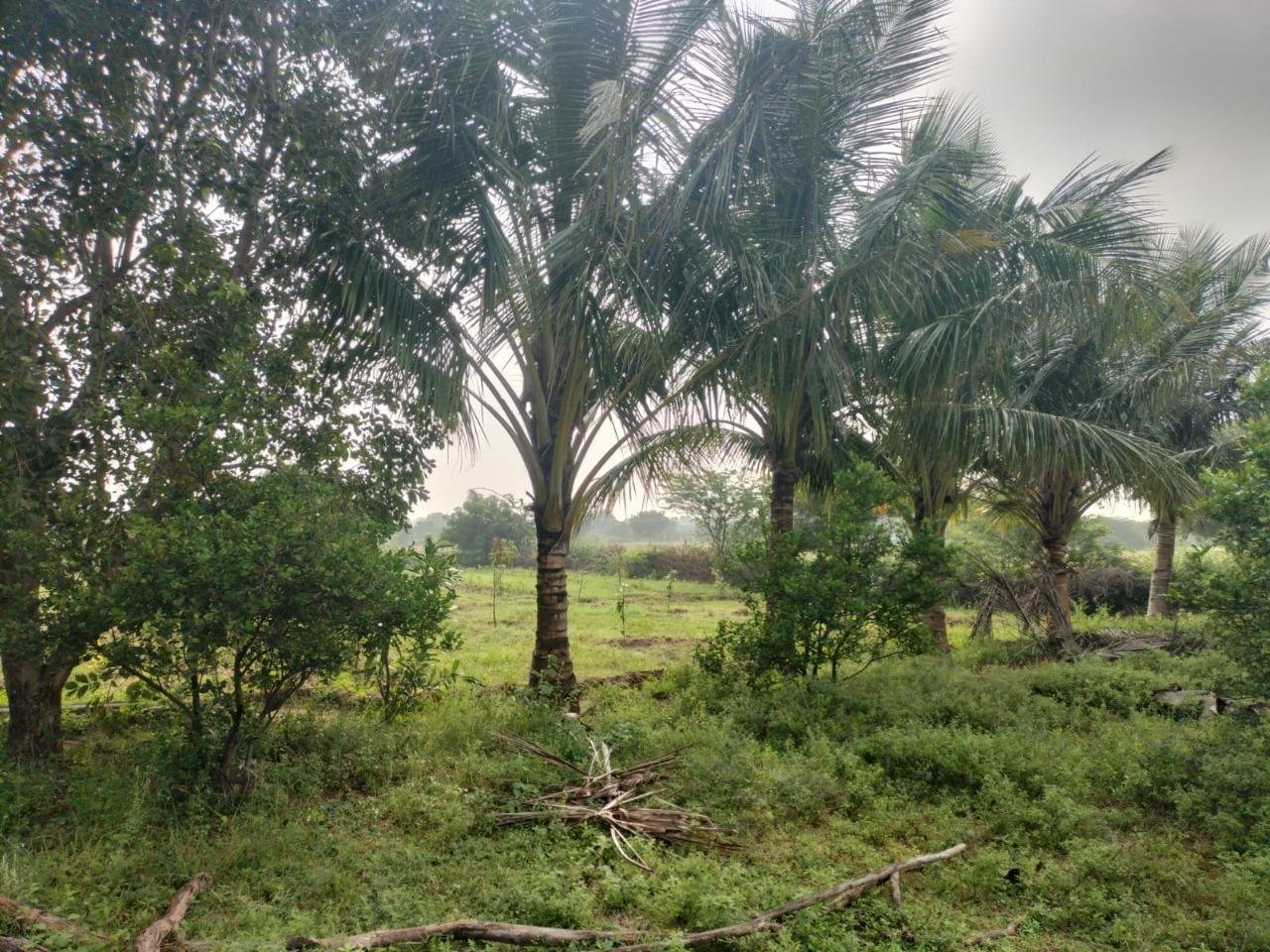 WhatsApp-Image-2023-01-25-at-3.56.42-PM