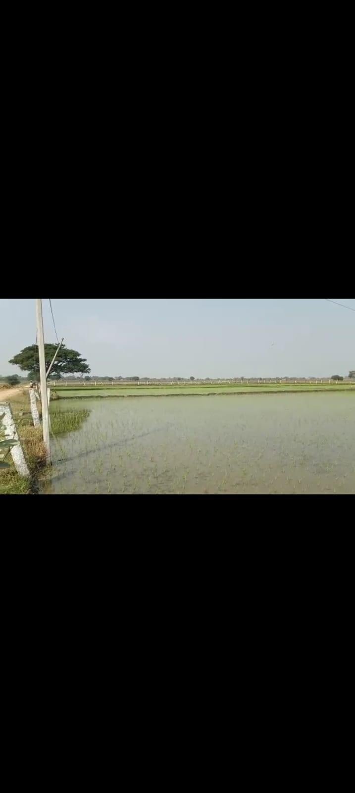 WhatsApp-Image-2023-01-26-at-4.14.44-PM